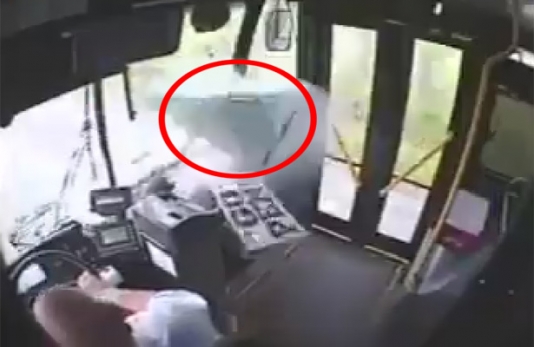 Avtobusa ön şüşədən soxulan ”sərnişin” sürücünü şok etdi - VİDEO