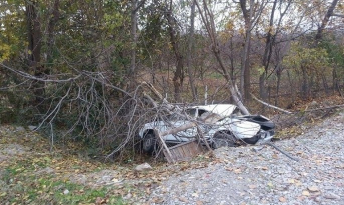 Avtomobil ağaca çırpıldı: 2 ölü - Şəkidə