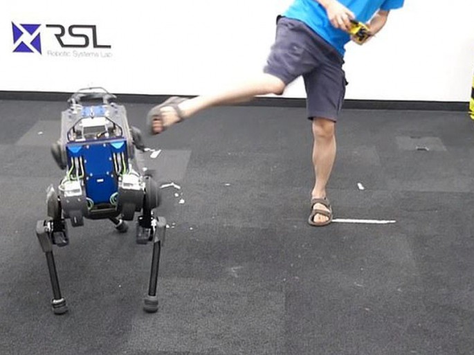 Yıxılanda dura bilən robot-it hazırlandı – VİDEO