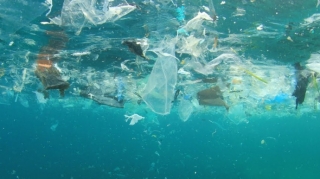 Okeanda plastik tullantıların miqdarının 10 dəfə çox olduğu müəyyənləşib