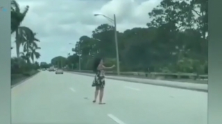 Xanım sürücü ördəklərə görə yolda hərəkətini dayandırdı  - VİDEO