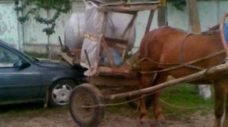 Sabirabadda maşın at arabası ilə toqquşdu  