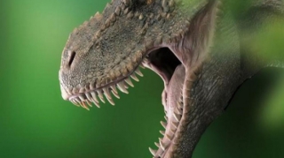 Yer üzündə 2,5 milyard “t-rex” dinozavrı yaşayıb
