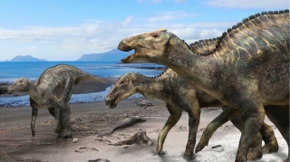 Dinozavrların indiki Alyaska ərazisində yaşamasına və çoxalmasına dair sübutlar tapılıb