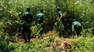 İrandan Azərbaycana 23 kq narkotik gətirilməsinin qarşısı alınıb