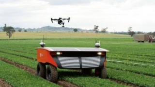 Avstraliyada robotlar tərəfindən idarə olunacaq ferma yaradılır