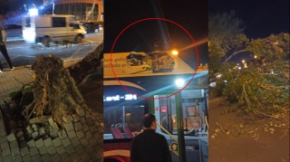 “Azneft”də ağac kökündən çıxıb avtobusun üstünə aşdı – FOTO+VİDEO 