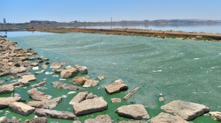 Hikmət Əlizadə:  "Böyükşor gölü müəyyən ekoloji problemləri olan su hövzəsidir" 