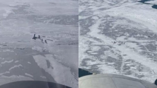 18 nəfər sahildən qopan buz parçasının üzərində köməksiz qaldı  - VİDEO