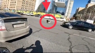 “Prius” sürücüsü keçiddən keçən  gənc qızı vurdu   - ANBAAN VİDEO
