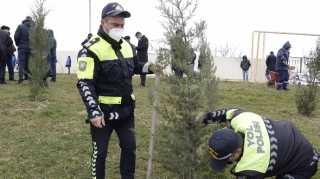 Yol polisləri də ağacəkmə aksiyasına qoşuldu - FOTO