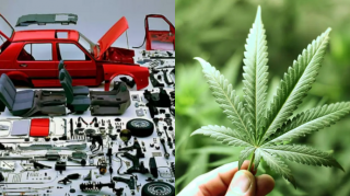 Türkdilli ölkədə çətənədən avtomobil detalları hazırlanacaq 