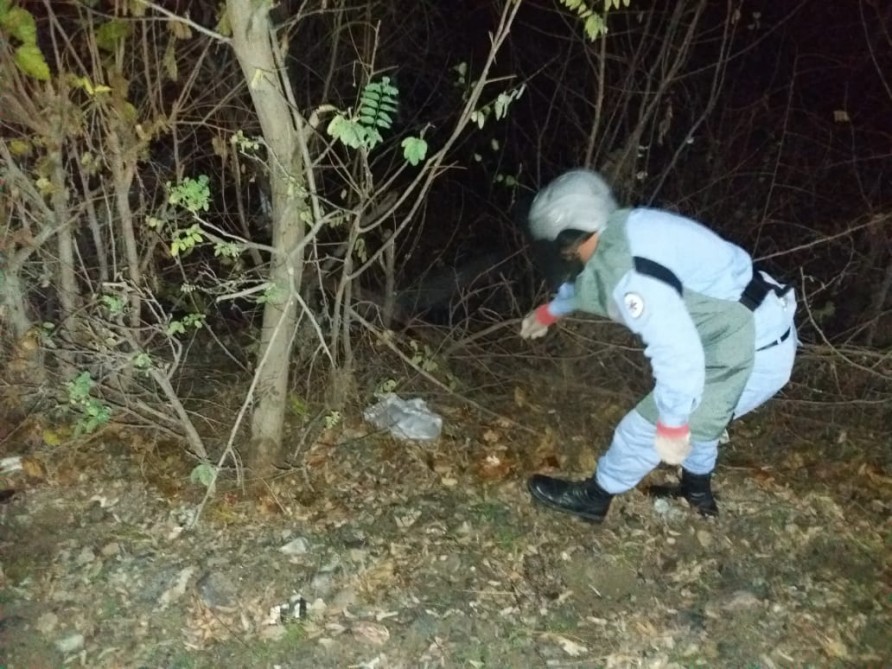 Yol kənarında təlim məqsədli tank əleyhinə mina tapılıb