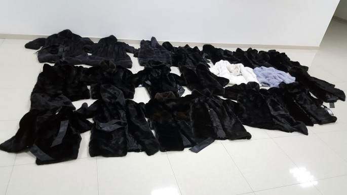 Aeroportda qanunsuz qadın xəz kürkləri aşkar edildi - FOTO