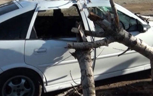 Ağac hərəkətdə olan maşının üstünə aşdı - FOTOLAR