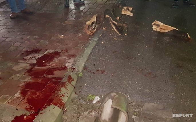 Gənc oğlan başına ağac budağı düşməsi nəticəsində ölüb - FOTO