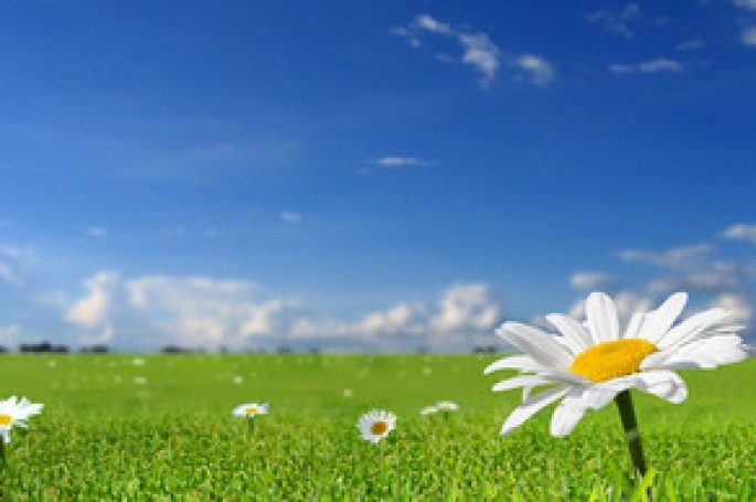 Bu günə olan hava proqnozu açıqlanıb