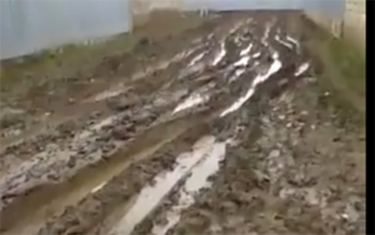 Cəlilabadda bərbad kənd yolunun görüntüsü yayıldı - VİDEO