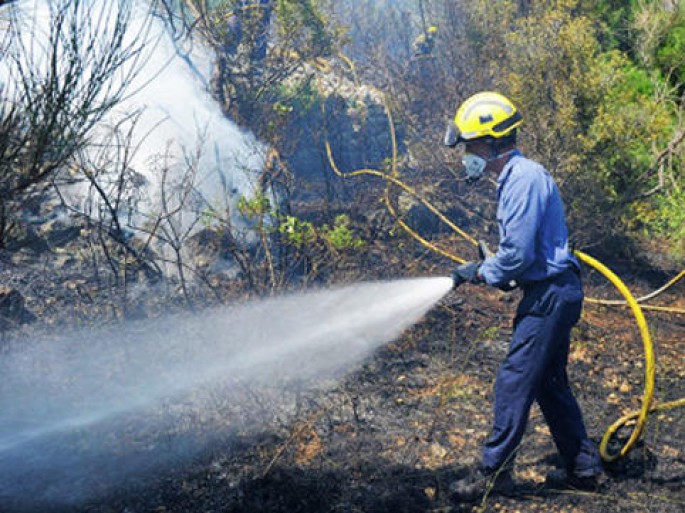 Qubada dağlıq ərazidə növbəti YANĞIN
