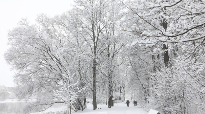 Lerikə 24 sm qar yağdı - Faktiki HAVA 