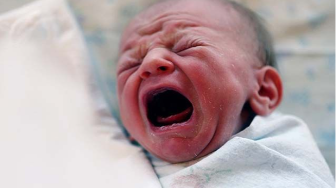 Sumqayıtda yeni doğulmuş qız uşağını zibil qabına atıblar - VİDEO