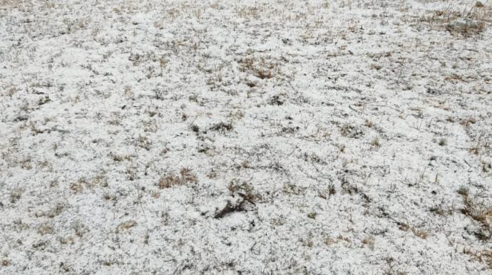 Batabata və Parağaçaya qar yağıb - FOTOLAR