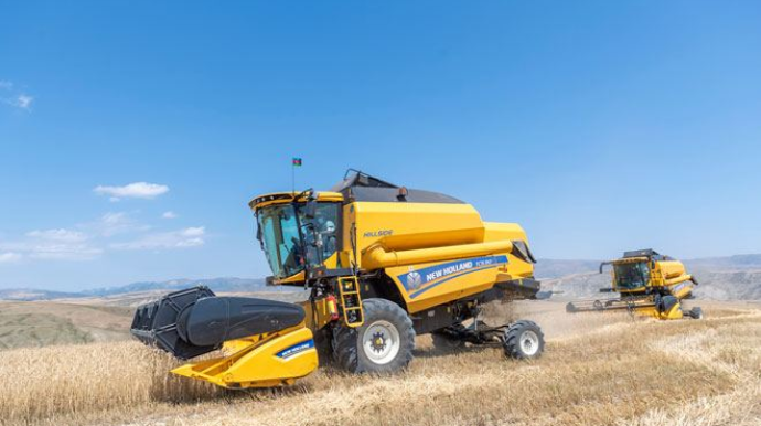 Şamaxının dağlıq ərazilərində müasir kombaynlarla taxıl biçini aparılıb - FOTO