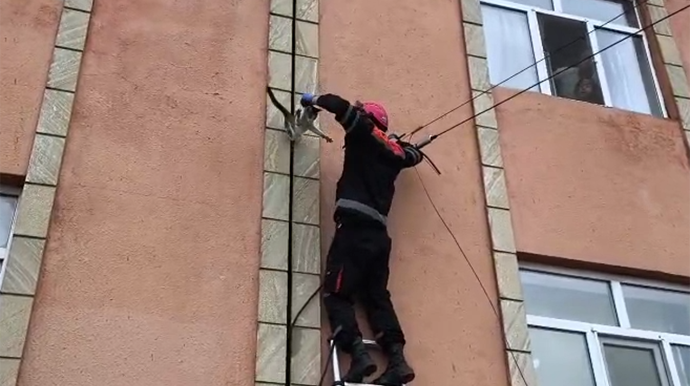 Köməksiz vəziyyətdə qalan pişiyi belə xilas etdilər - VİDEO