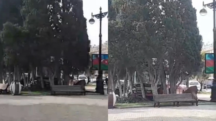 Bakıda sərnişin avtobusu bulvara belə girib - ANBAAN VİDEO  