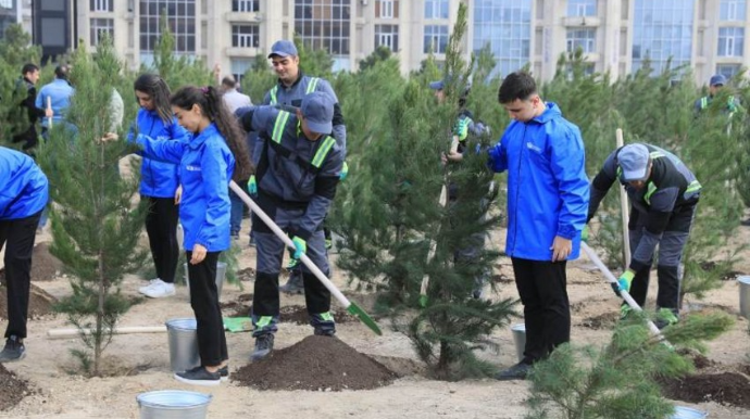 Zəfər Günü ilə bağlı Bakıda ağacəkmə aksiyası keçirilib  - FOTO