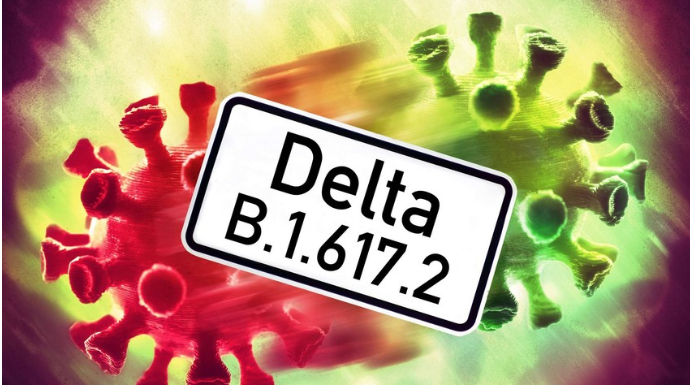 TƏBİB rəsmisindən “Delta”  variantı ilə bağlı açıqlama  - FOTO