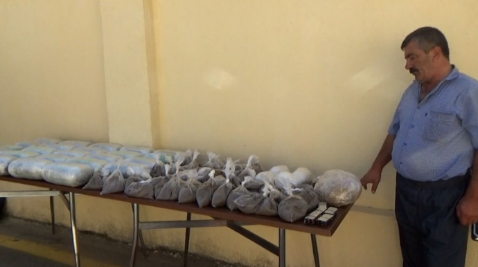 Yevlax sakinindən 78 kq narkotik maddə götürülüb  - FOTO - VİDEO