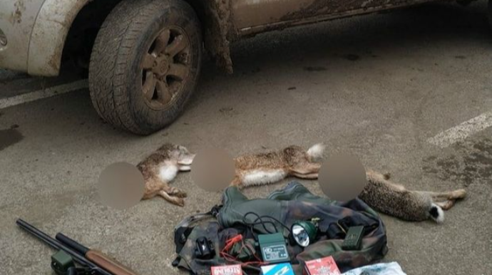 Cəlilabadda dovşan ovlayan Sumqayıt sakinləri saxlanıldı