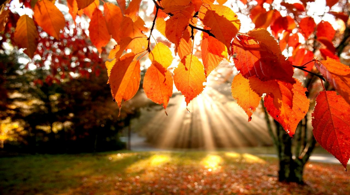 Sabahın hava proqnozu açıqlanıb