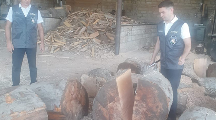 Qanunsuz əldə edilmiş meşə materialı aşkarlandı - FOTO 