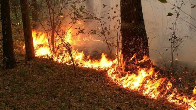 Ağdərə meşəsi yanır 