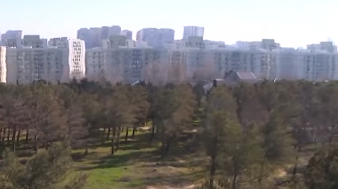 Yasamaldakı meşəlikdə bina tikiləcək? - VİDEO