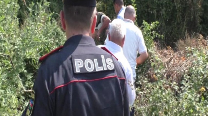 Dağın ətəyində narkotik plantasiyası salan şəxs iş başında SAXLANILDI   - FOTO