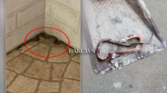 Elmlər Akademiyası metrostansiyası ətrafında ilan peyda olub - VİDEO