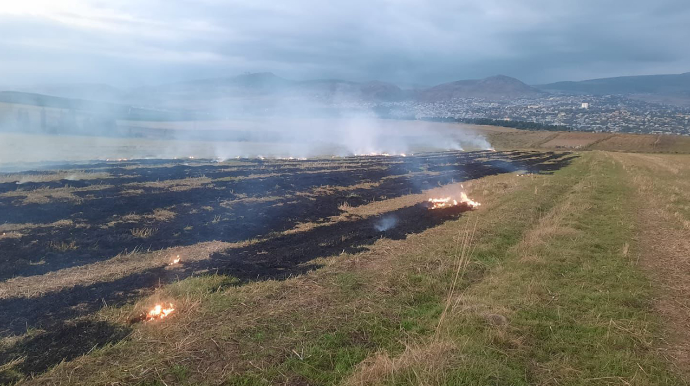 В Шамахинском районе поджигатель привлечен к ответственности - ФОТО