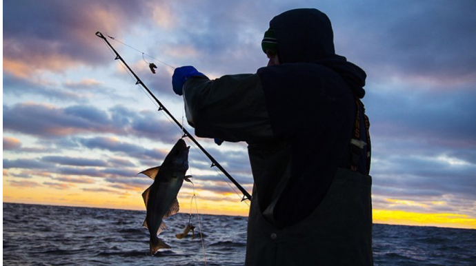 Balıq ovu ilə bağlı qadağa müddəti başa çatdı 