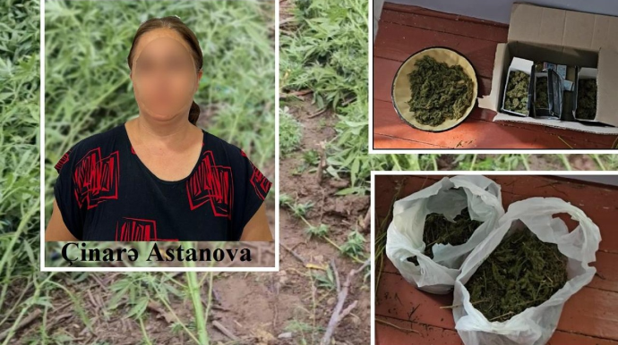 Çətənə kollarının kultivasiyasını təşkil edən qadın saxlanıldı