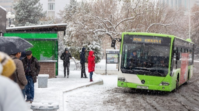 Avtobus yoluna çıxanlar üçün mərhələli cərimələr olacaq   - FOTO