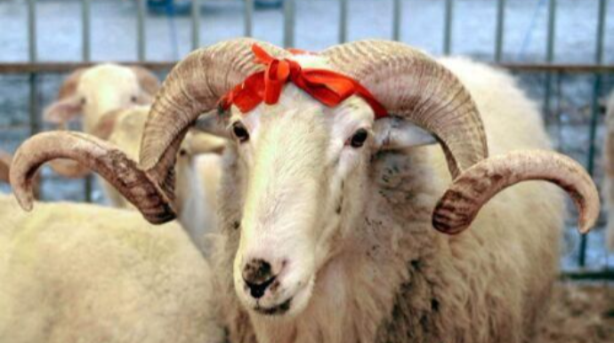 Azərbaycanda Qurban bayramı qeyd edilir