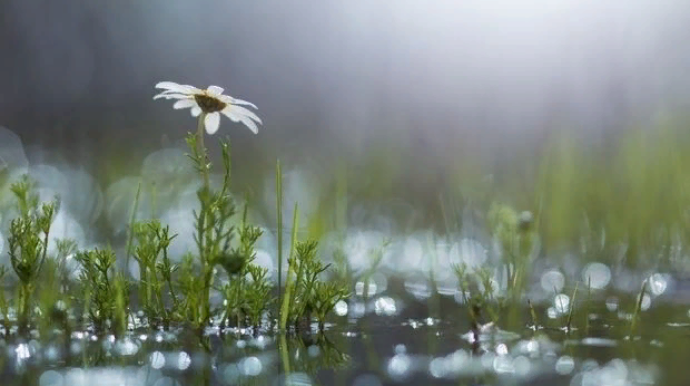 Hava yenidən dəyişir - XƏBƏRDARLIQ
