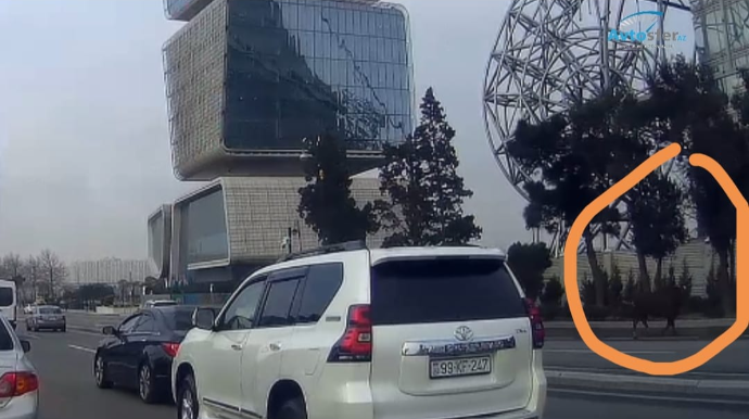 Prospektdə yola qaçan dana qarışıqlıq yaratdı - ANBAAN VİDEO 