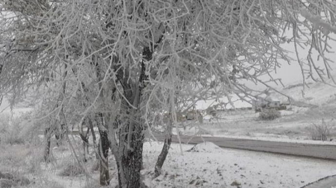 В Шамахы выпал снег, на дорогах ожидается гололедица   - ФОТО