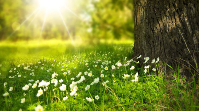 Sabah 29 dərəcə isti olacaq   