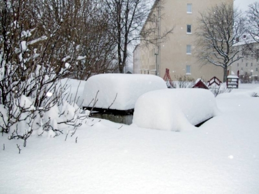 Ölənlərin sayı 85 nəfərə çatdı - Soyuqdan