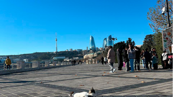 Yeni ilin ilk günündə Bakıdan fotolar paylaşdı - FOTO